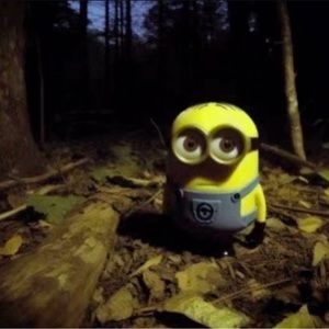 Meet your Posher, Evan